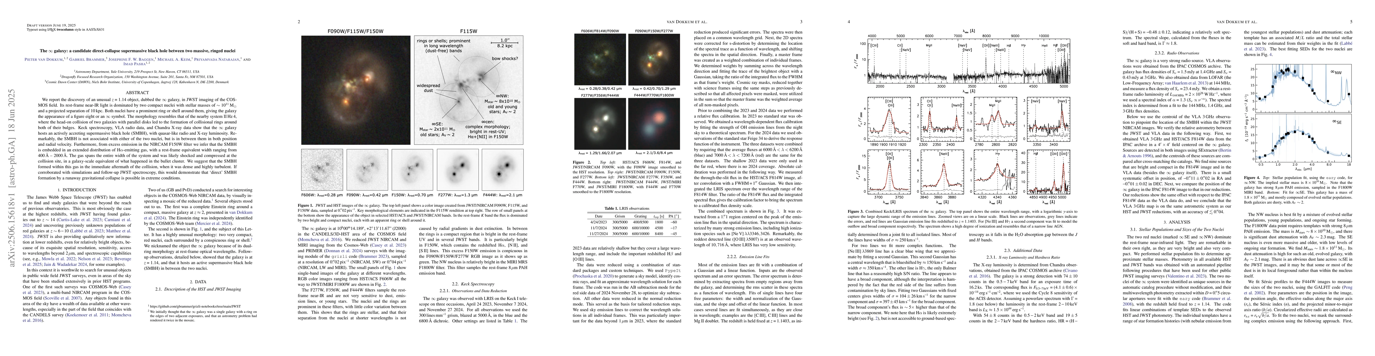 Thumbnail for The Infinity Galaxy: a Candidate Direct-Collapse Supermassive Black Hole
  Between Two Massive, Ringed Nuclei