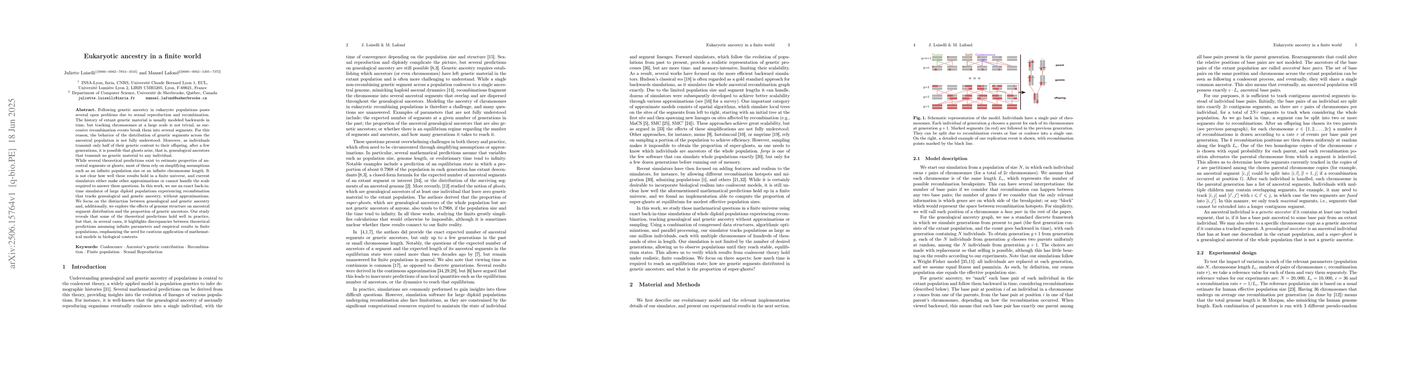 Thumbnail for Eukaryotic ancestry in a finite world