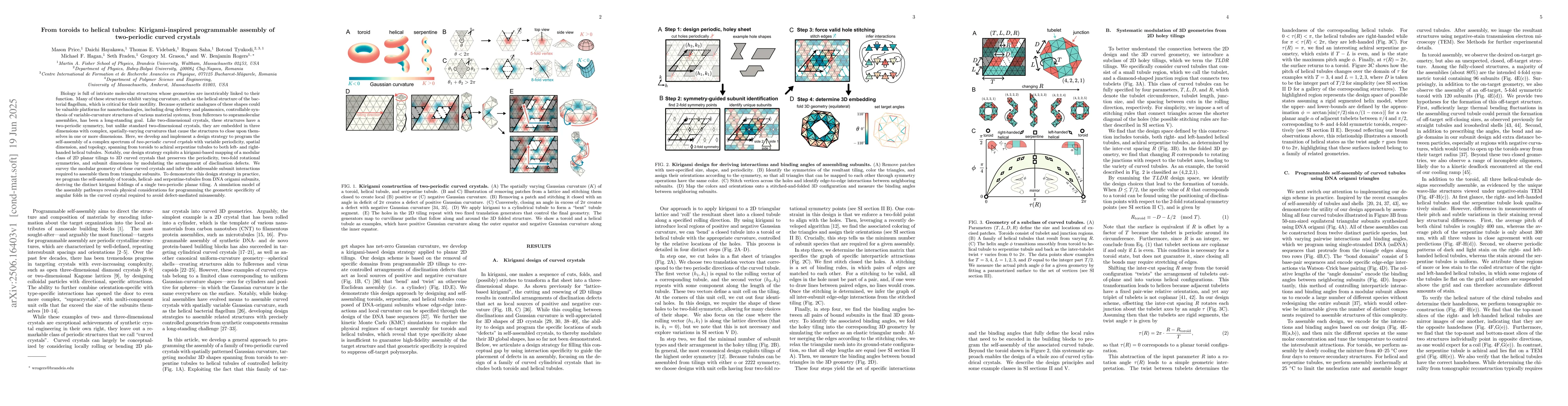 Thumbnail for From toroids to helical tubules: Kirigami-inspired programmable assembly
  of two-periodic curved crystals