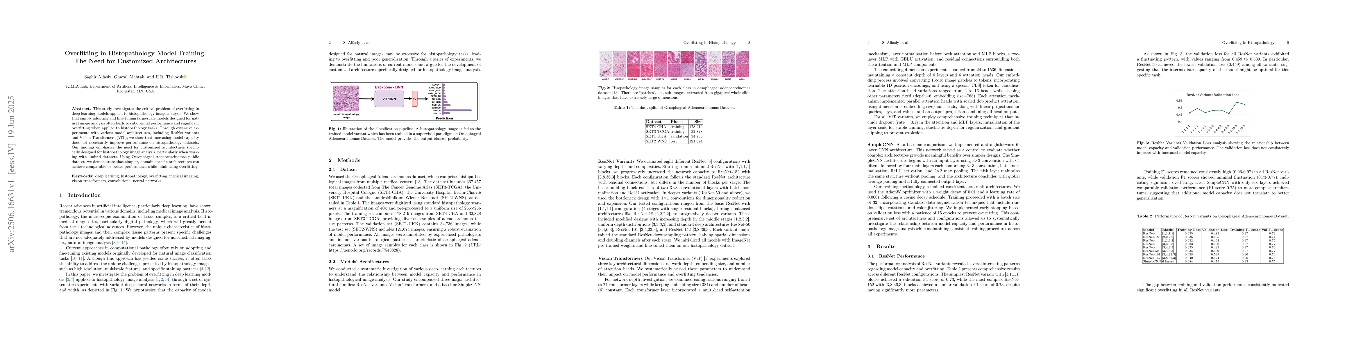 Thumbnail for Overfitting in Histopathology Model Training: The Need for Customized
  Architectures