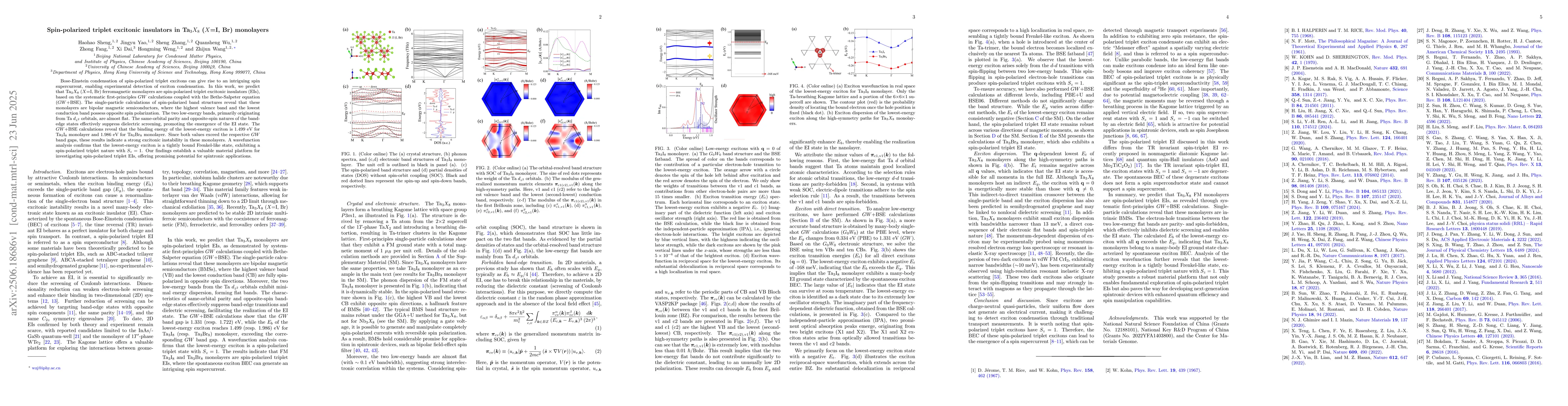 Thumbnail for Spin-polarized triplet excitonic insulators in Ta3X8 (X=I, Br)
  monolayers