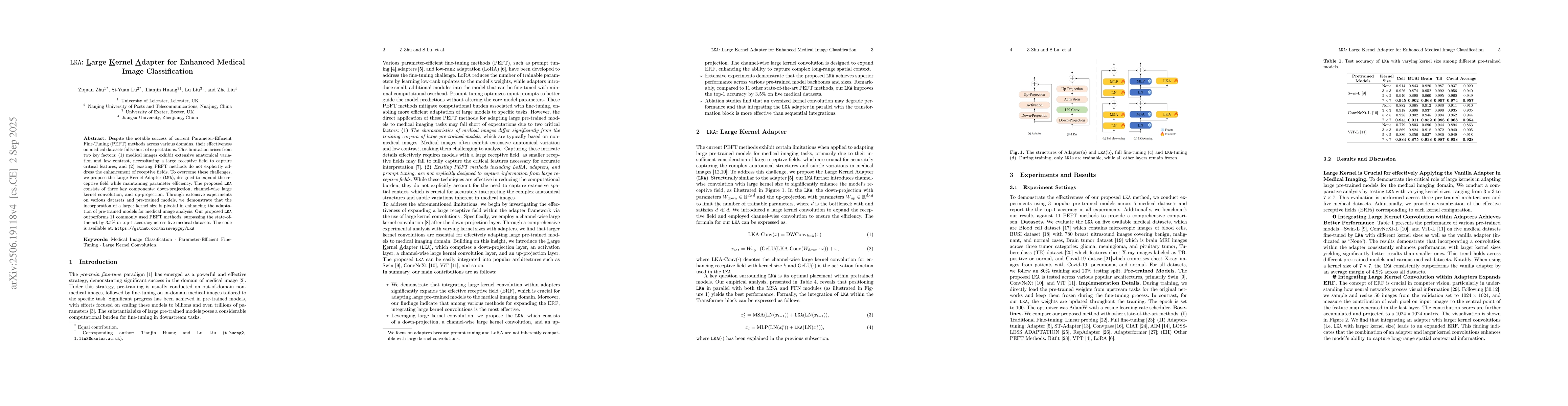 Thumbnail for LKA: Large Kernel Adapter for Enhanced Medical Image Classification