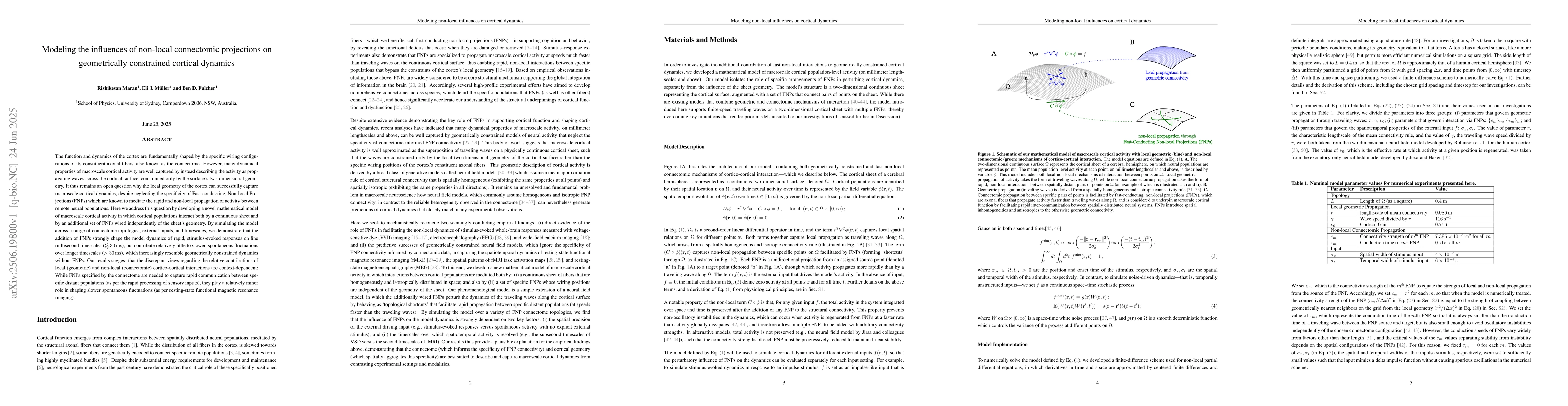 Thumbnail for Modeling the influences of non-local connectomic projections on
  geometrically constrained cortical dynamics
