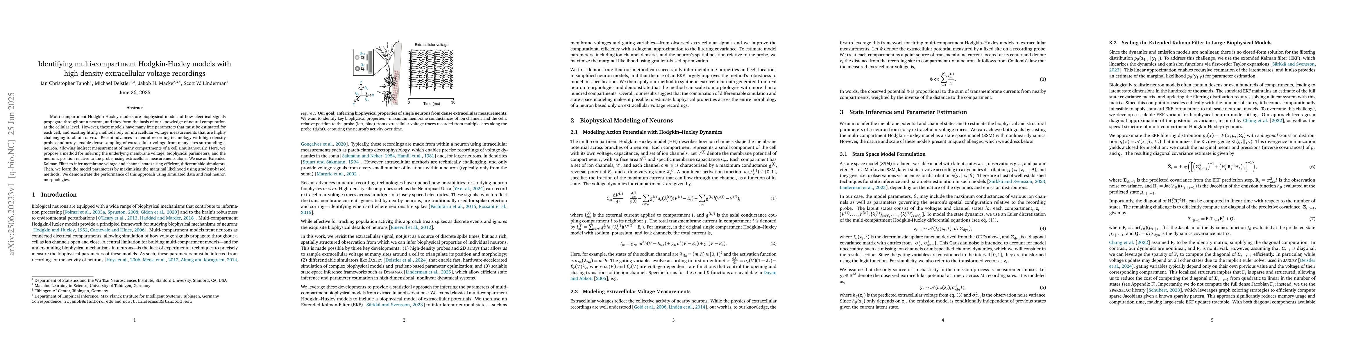 Thumbnail for Identifying multi-compartment Hodgkin-Huxley models with high-density
  extracellular voltage recordings