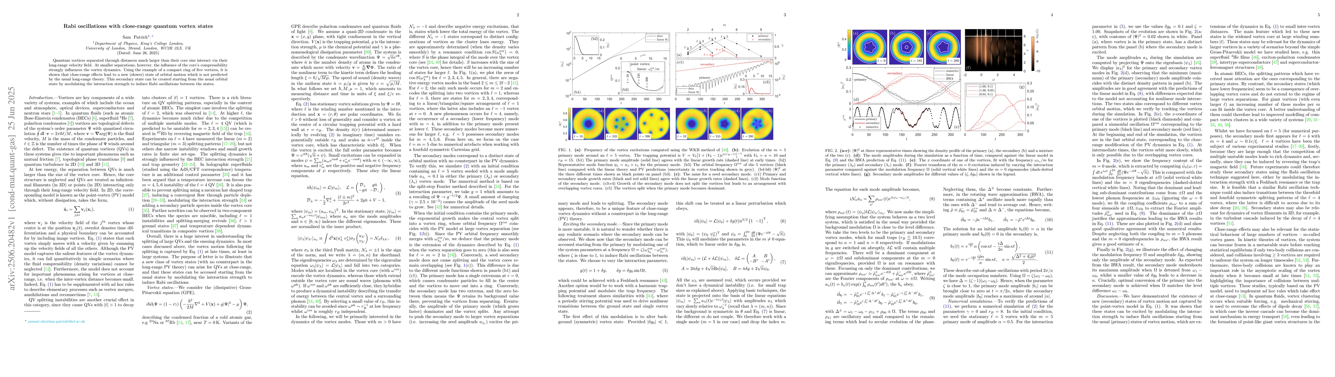 Thumbnail for Rabi oscillations with close-range quantum vortex states