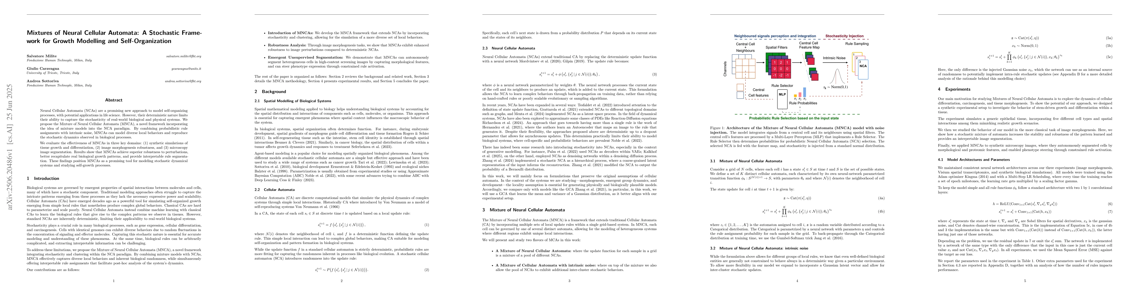 Thumbnail for Mixtures of Neural Cellular Automata: A Stochastic Framework for Growth
  Modelling and Self-Organization