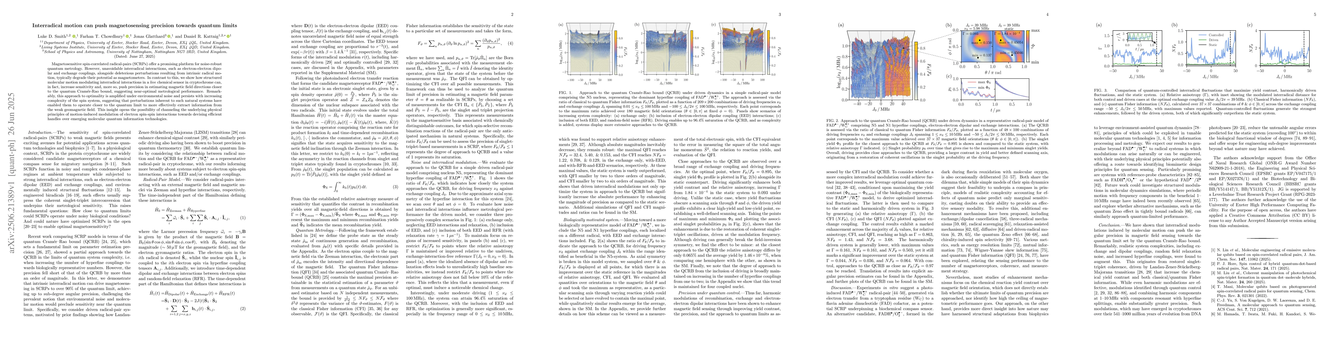 Thumbnail for Interradical motion can push magnetosensing precision towards quantum
  limits