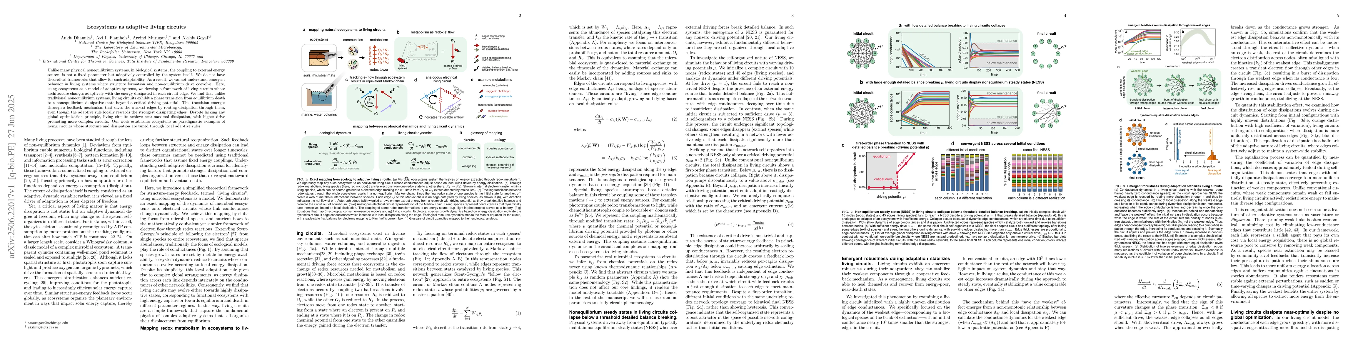 Thumbnail for Ecosystems as adaptive living circuits