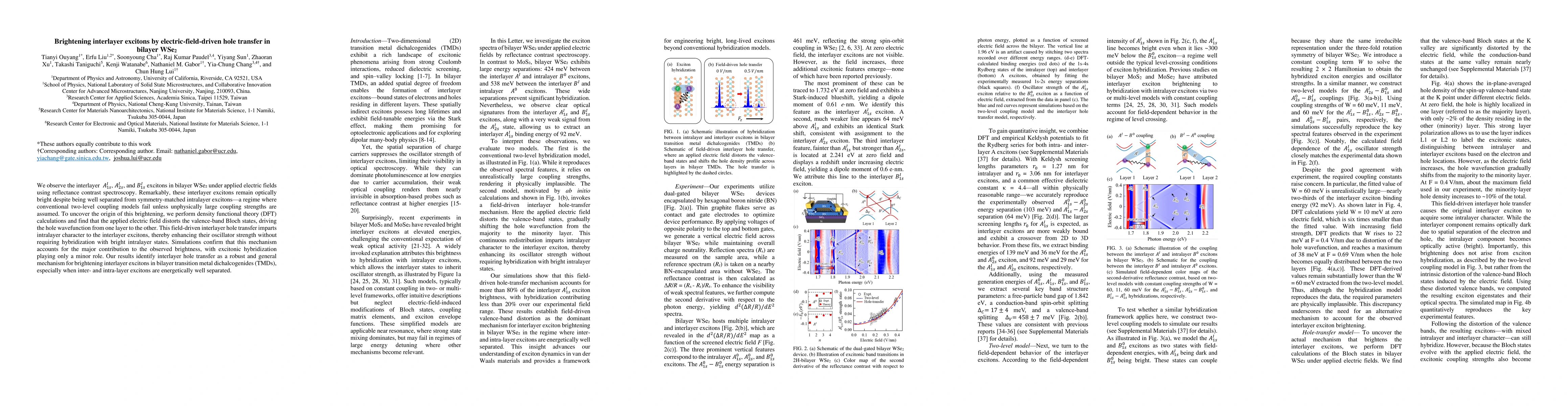Thumbnail for Brightening interlayer excitons by electric-field-driven hole transfer
  in bilayer WSe2