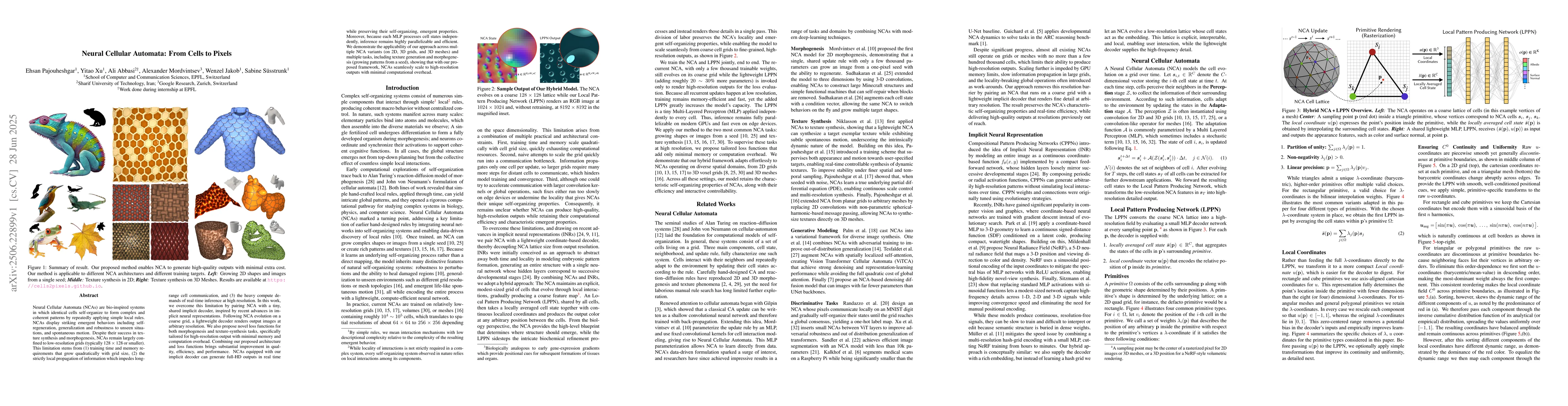 Thumbnail for Neural Cellular Automata: From Cells to Pixels