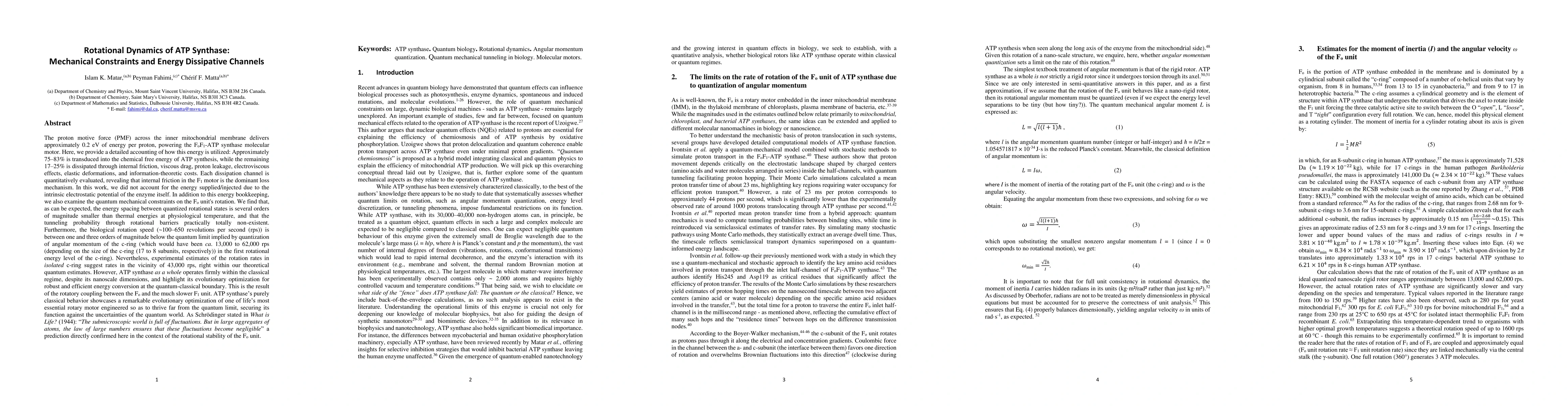 Thumbnail for Rotational Dynamics of ATP Synthase: Mechanical Constraints and Energy
  Dissipative Channels