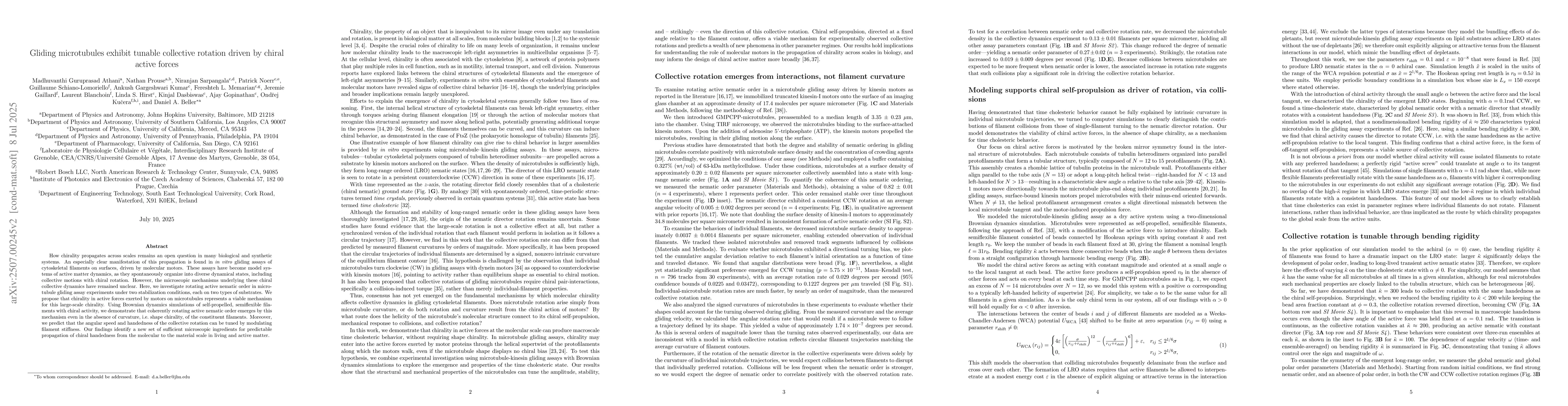 Thumbnail for Gliding microtubules exhibit tunable collective rotation driven by
  chiral active forces