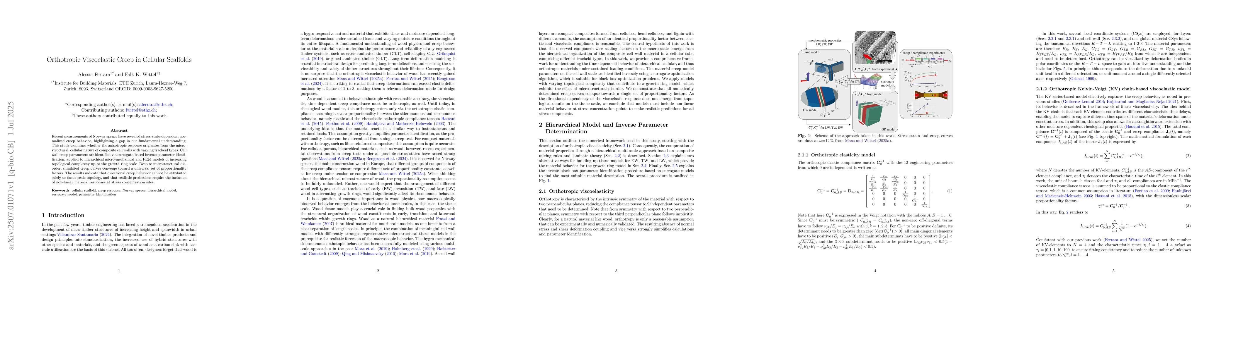 Thumbnail for Orthotropic Viscoelastic Creep in Cellular Scaffolds