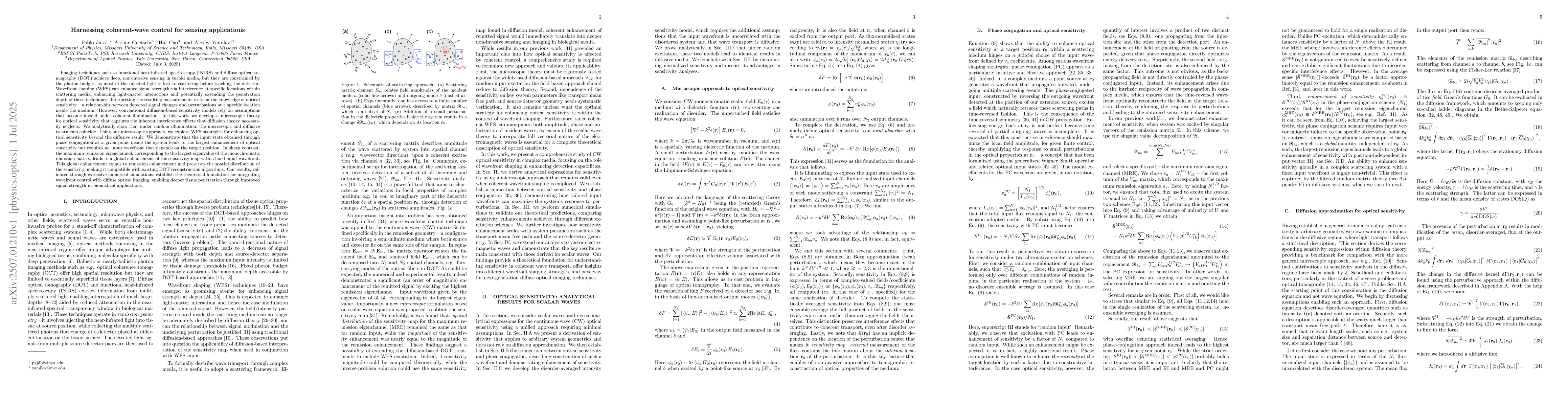 Thumbnail for Harnessing coherent-wave control for sensing applications