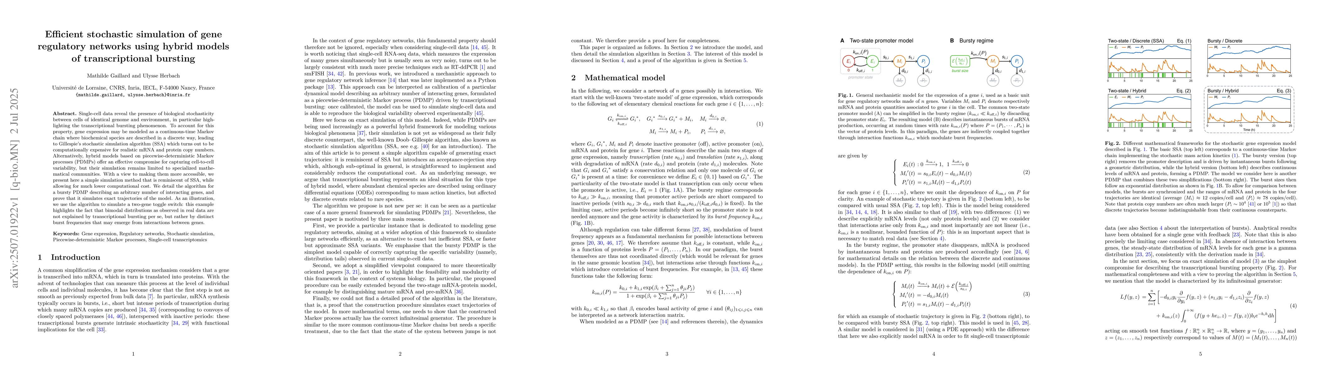 Thumbnail for Efficient stochastic simulation of gene regulatory networks using hybrid
  models of transcriptional bursting