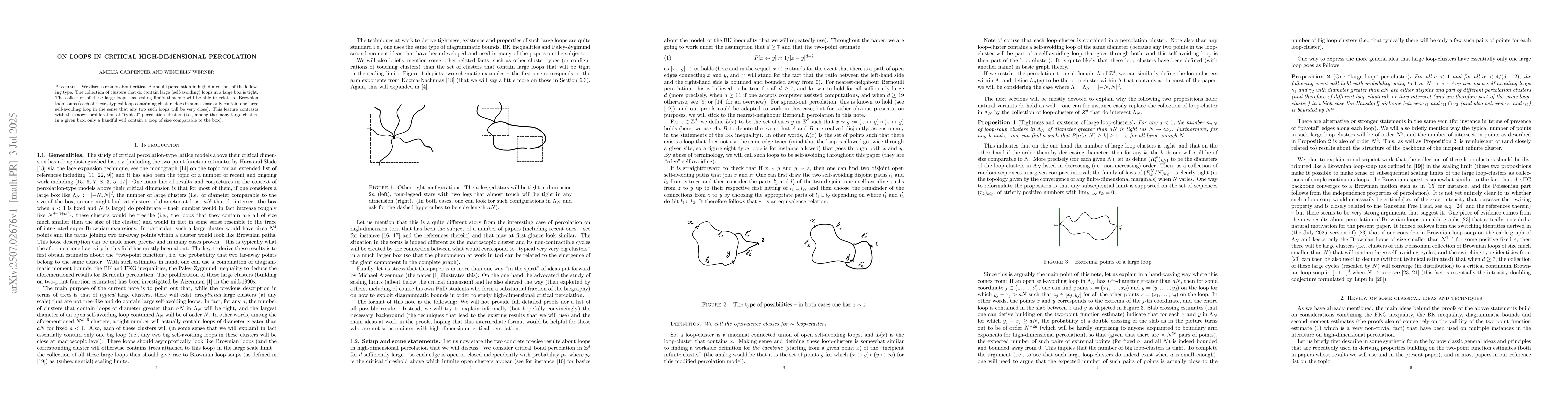 Thumbnail for On Loops in critical high-dimensional percolation