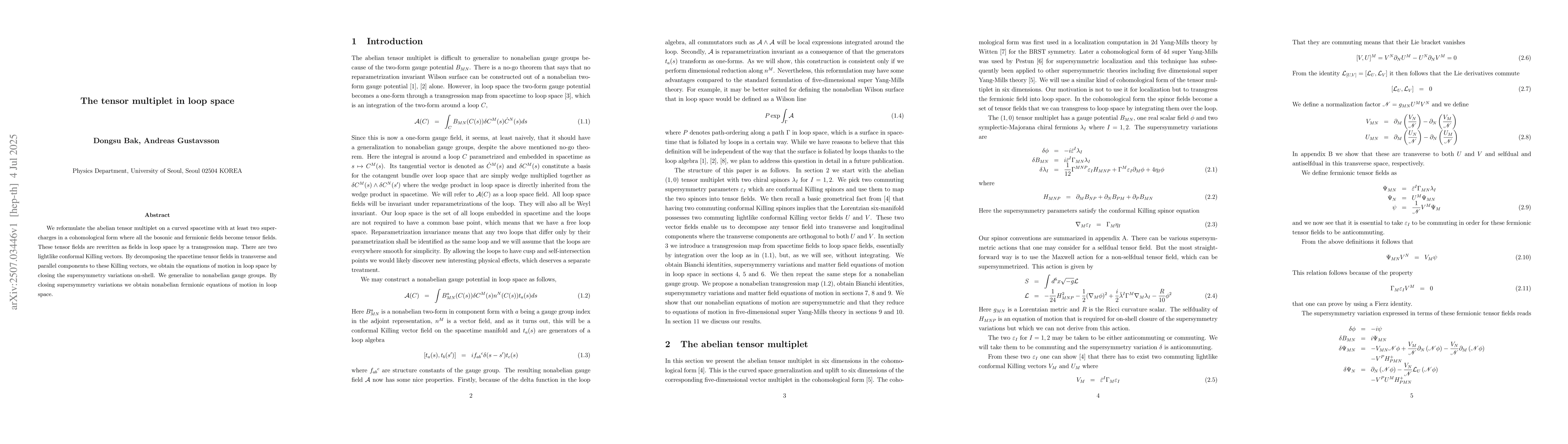 Thumbnail for The tensor multiplet in loop space