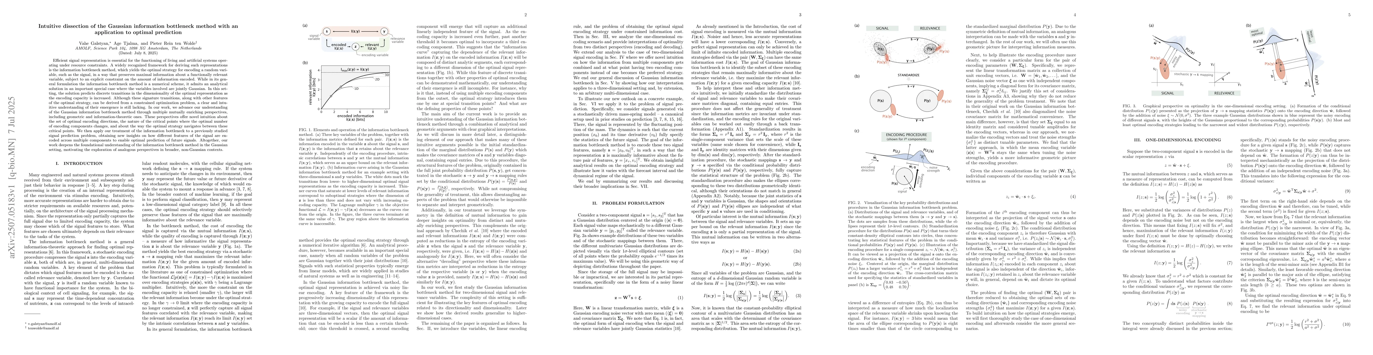 Thumbnail for Intuitive dissection of the Gaussian information bottleneck method with
  an application to optimal prediction