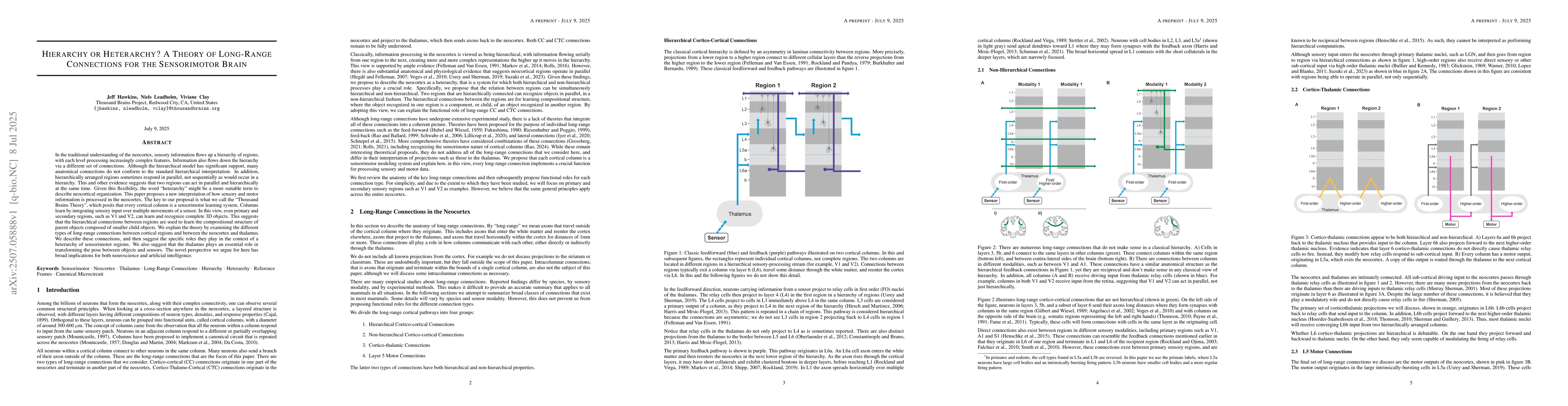 Thumbnail for Hierarchy or Heterarchy? A Theory of Long-Range Connections for the
  Sensorimotor Brain