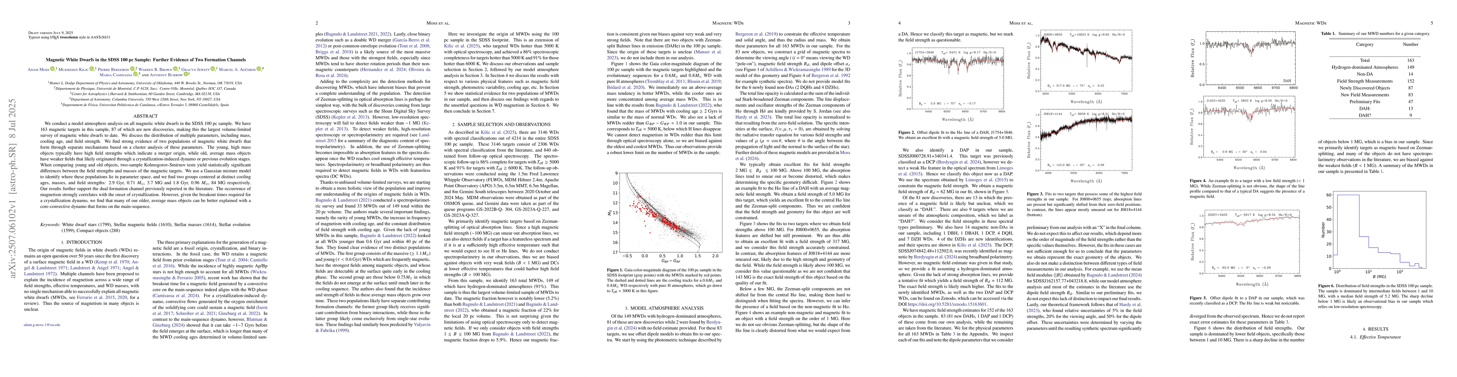 Thumbnail for Magnetic White Dwarfs in the SDSS 100 pc Sample: Further Evidence of Two
  Formation Channels