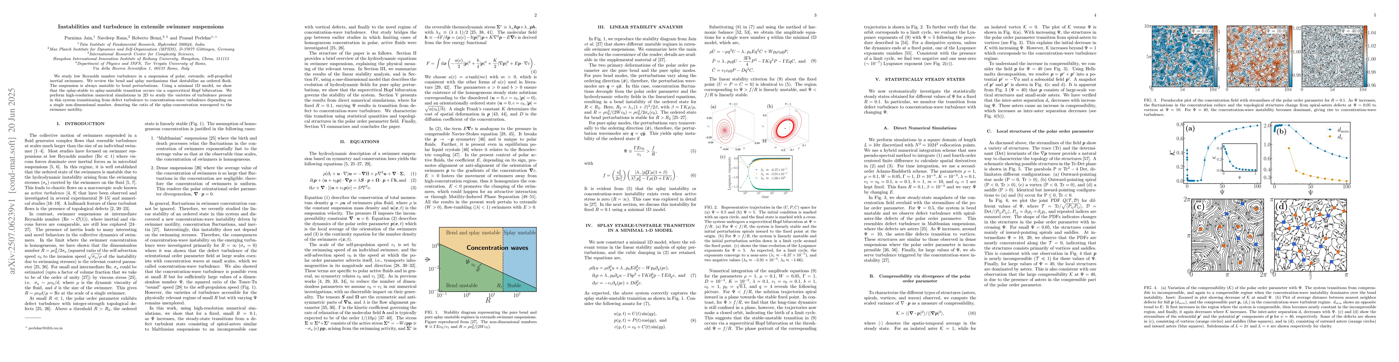 Thumbnail for Instabilities and turbulence in extensile swimmer suspensions