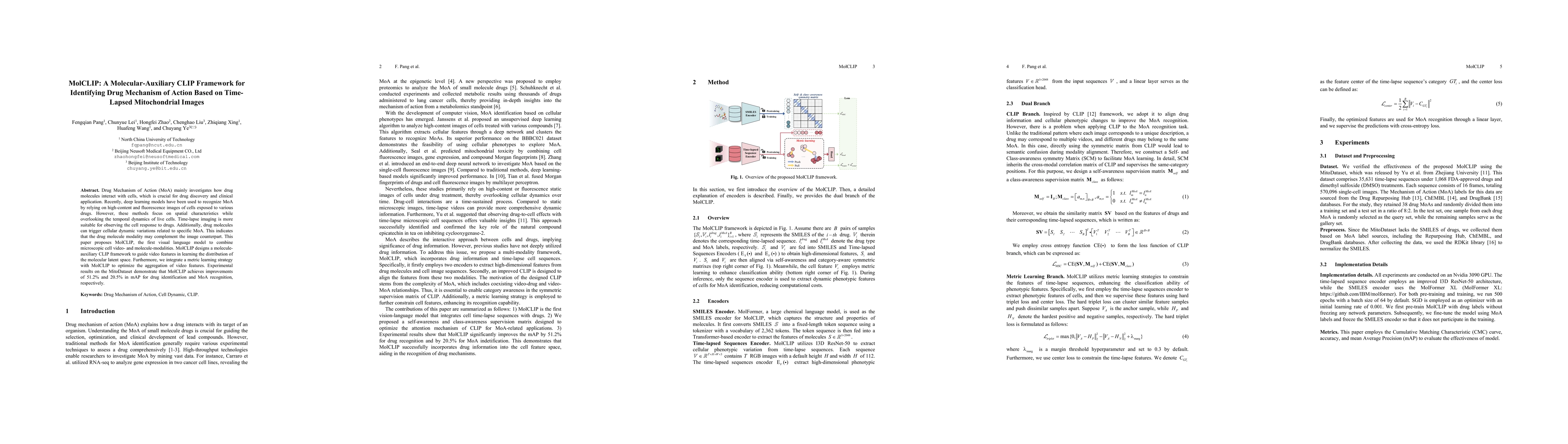 Thumbnail for MolCLIP: A Molecular-Auxiliary CLIP Framework for Identifying Drug
  Mechanism of Action Based on Time-Lapsed Mitochondrial Images
