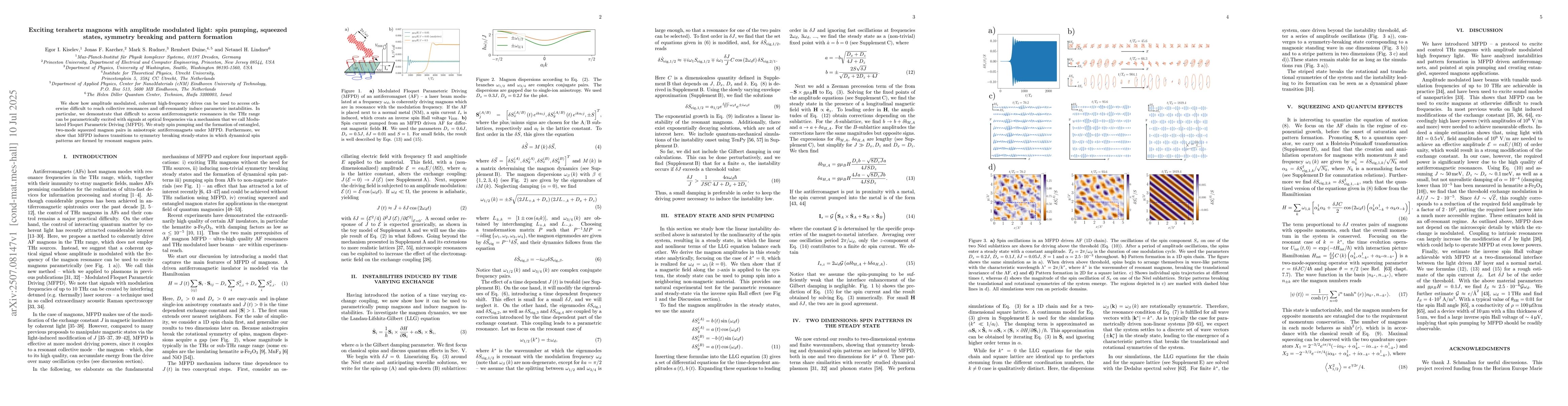 Thumbnail for Exciting terahertz magnons with amplitude modulated light: spin pumping,
  squeezed states, symmetry breaking and pattern formation