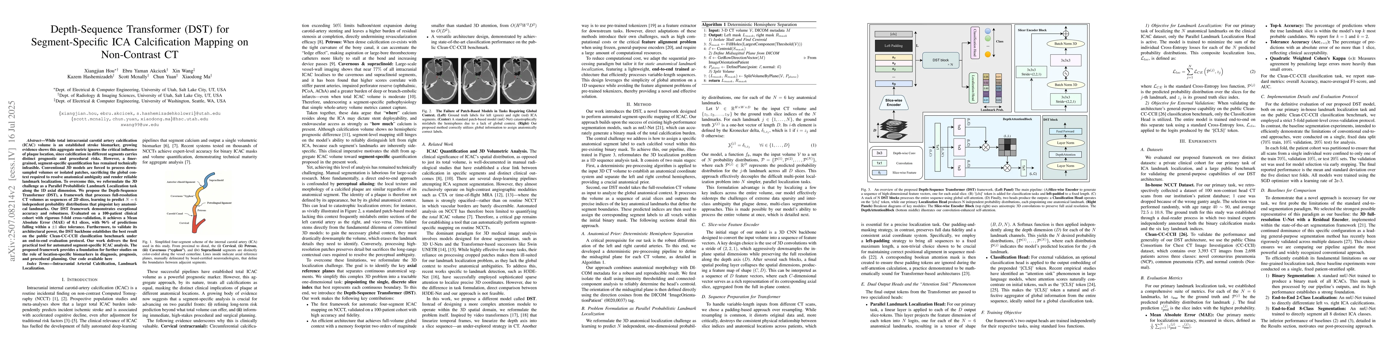Thumbnail for Depth-Sequence Transformer (DST) for Segment-Specific ICA Calcification
  Mapping on Non-Contrast CT