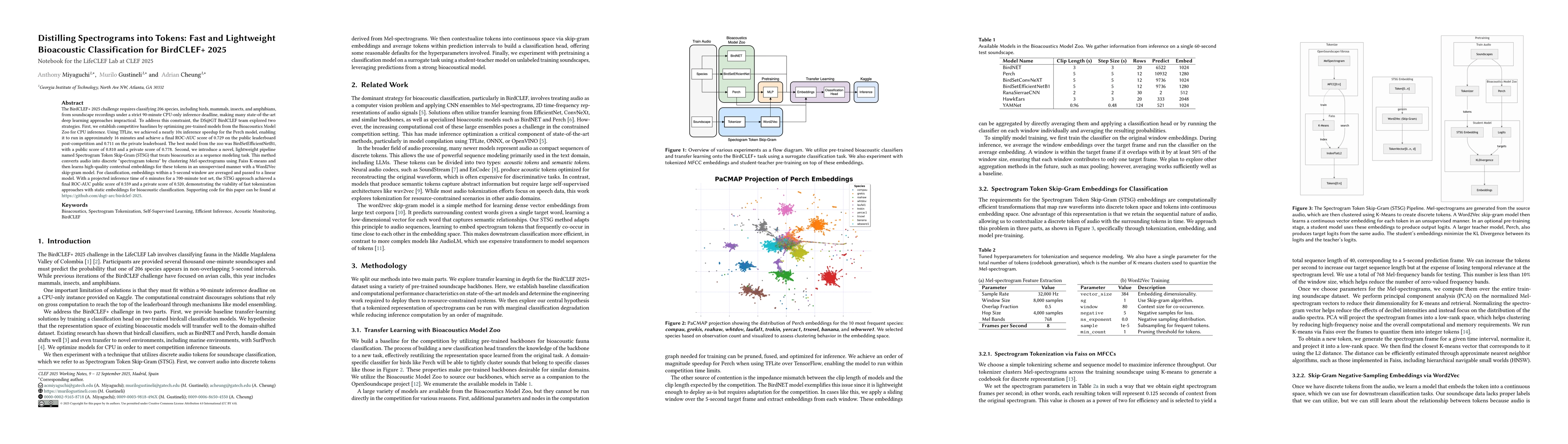Thumbnail for Distilling Spectrograms into Tokens: Fast and Lightweight Bioacoustic
  Classification for BirdCLEF+ 2025