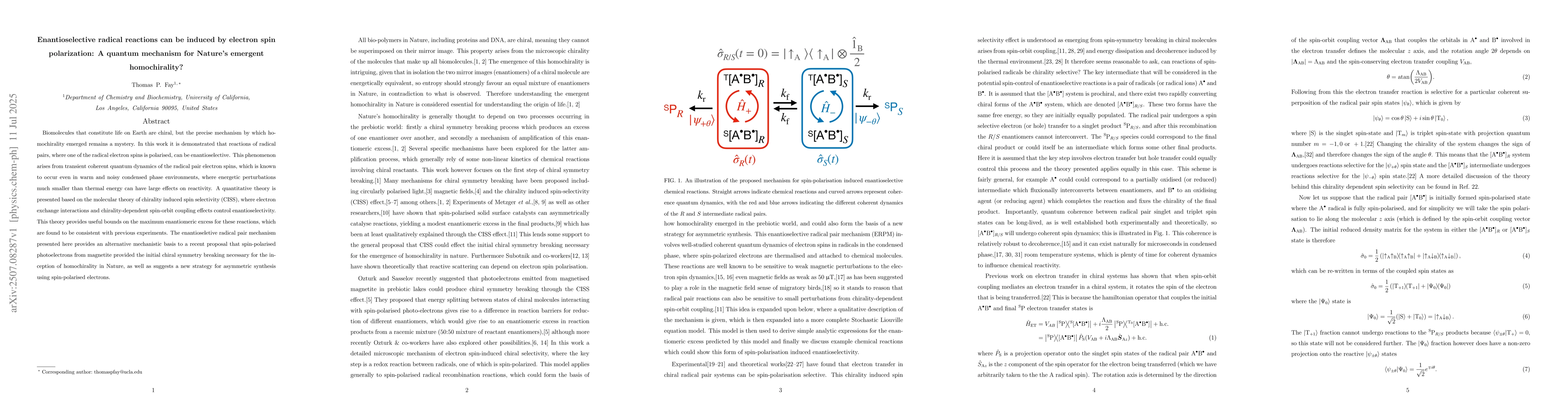 Thumbnail for Enantioselective radical reactions can be induced by electron spin
  polarization: A quantum mechanism for Nature's emergent homochirality?