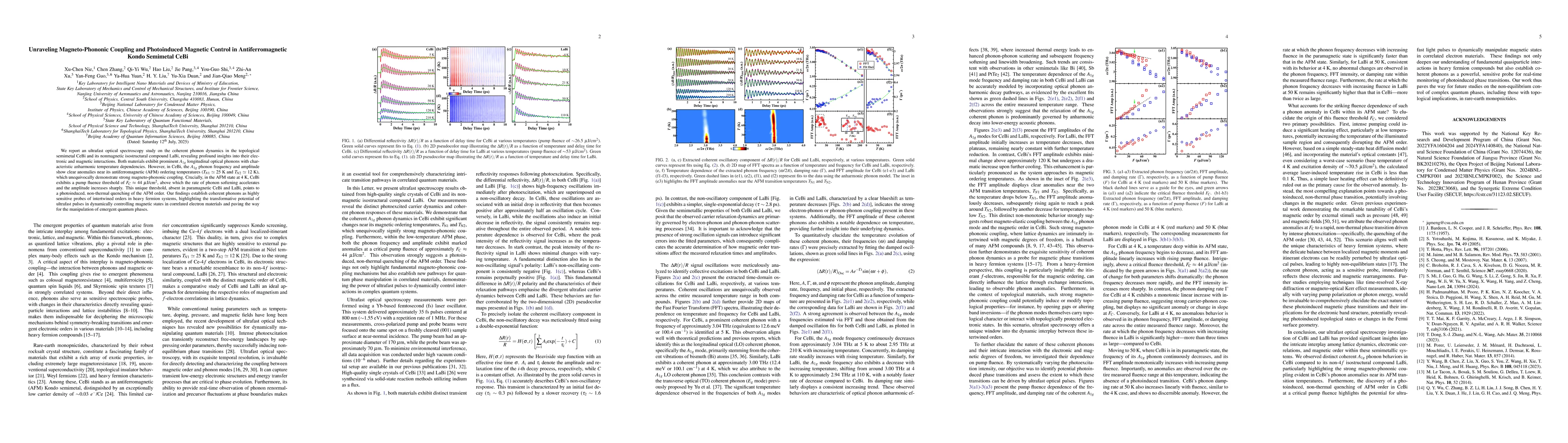Thumbnail for Unraveling Magneto-Phononic Coupling and Photoinduced Magnetic Control
  in Antiferromagnetic Kondo Semimetal CeBi