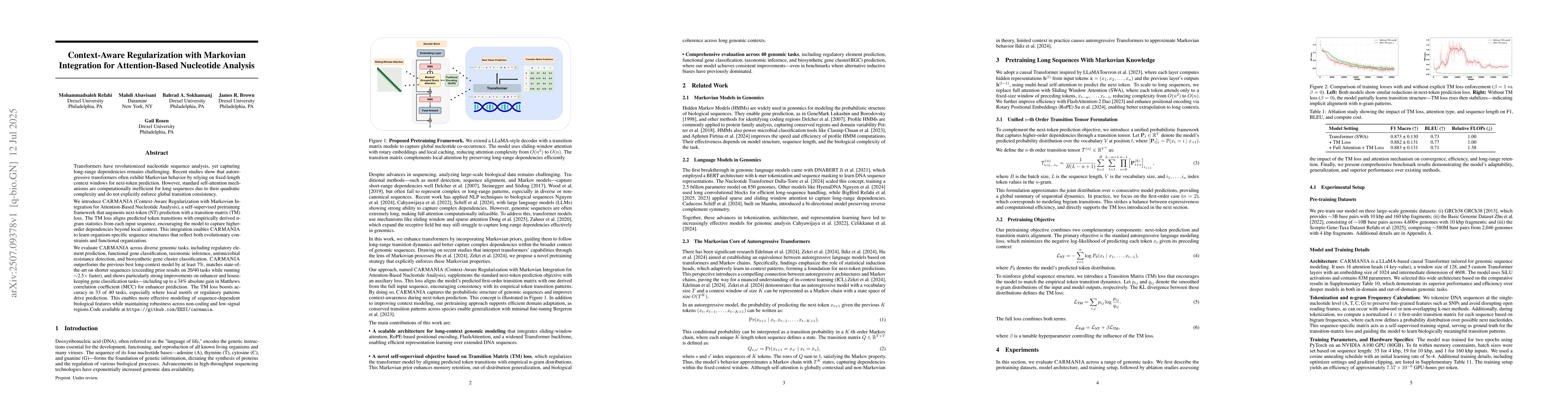 Thumbnail for Context-Aware Regularization with Markovian Integration for
  Attention-Based Nucleotide Analysis