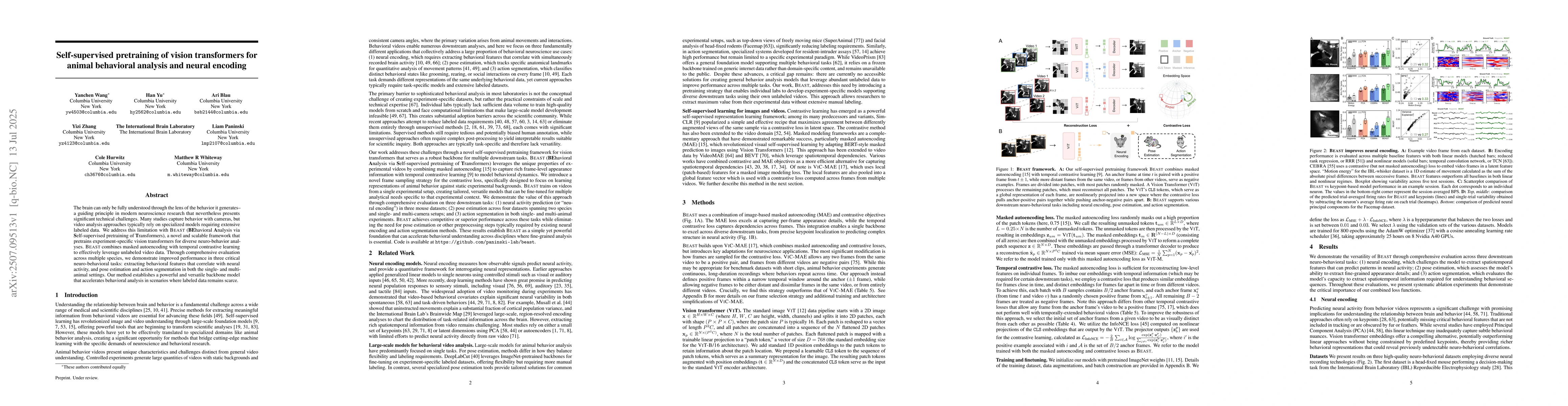Thumbnail for Self-supervised pretraining of vision transformers for animal behavioral
  analysis and neural encoding