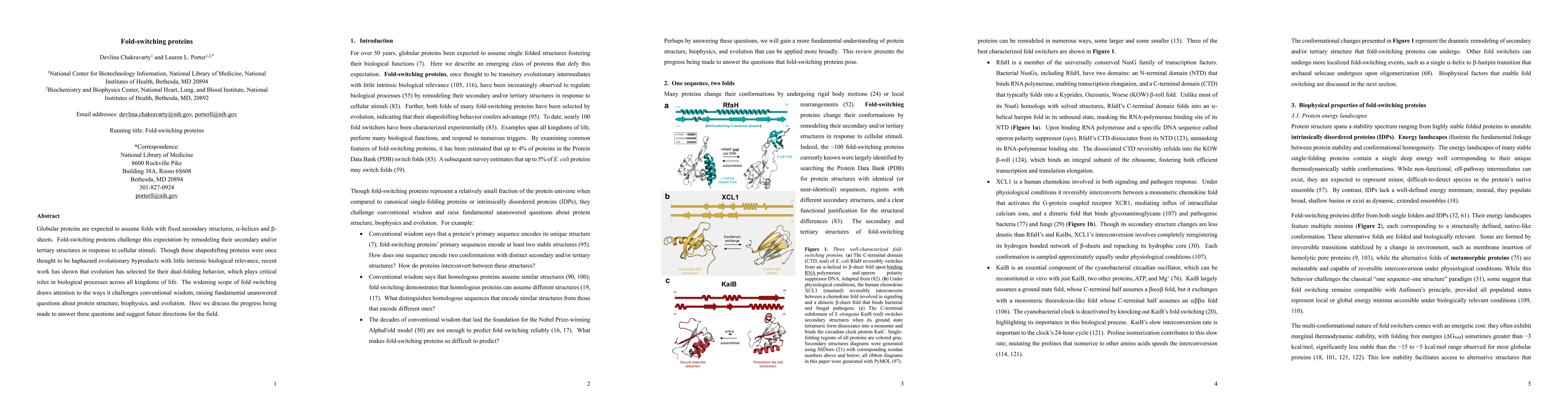 Thumbnail for Fold-switching Proteins