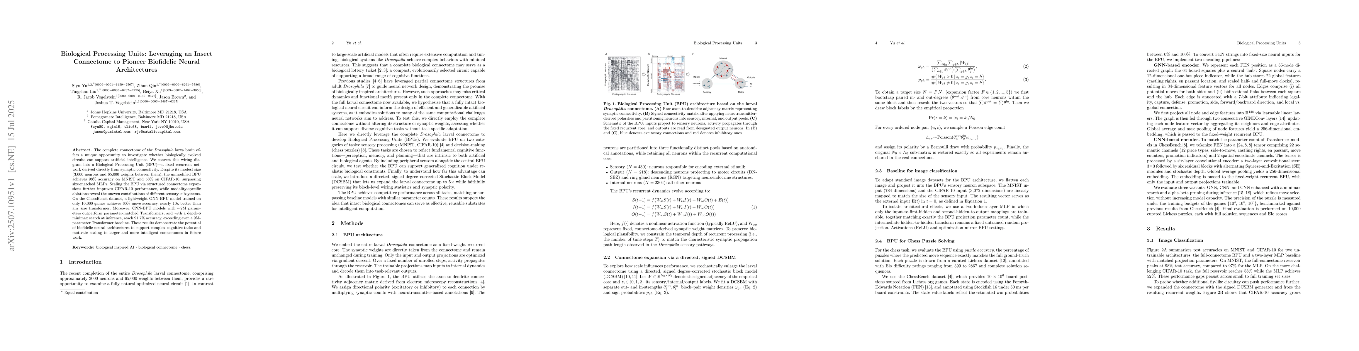 Thumbnail for Biological Processing Units: Leveraging an Insect Connectome to Pioneer
  Biofidelic Neural Architectures