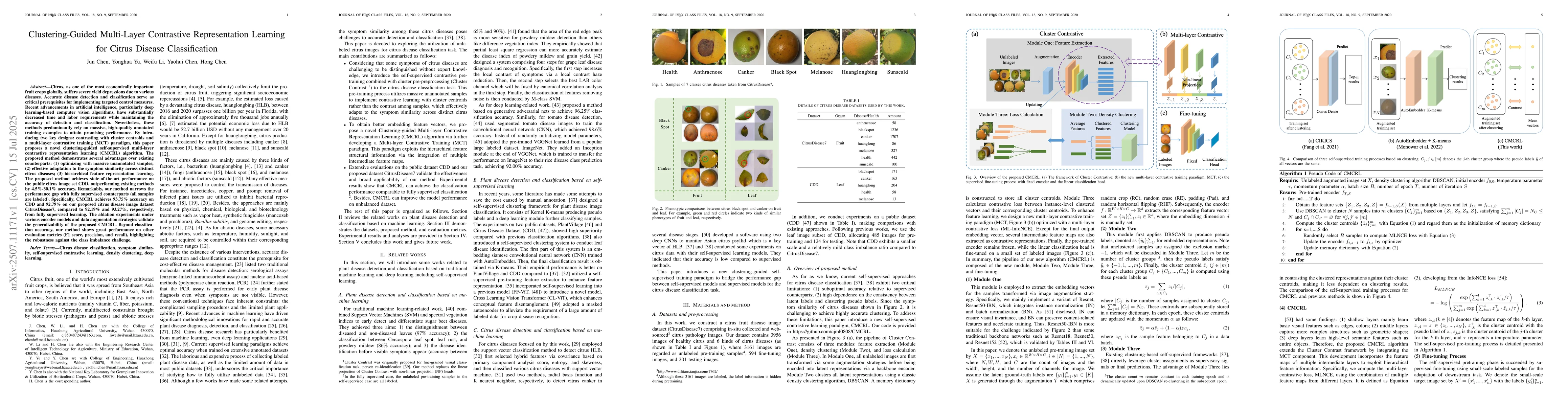 Thumbnail for Clustering-Guided Multi-Layer Contrastive Representation Learning for
  Citrus Disease Classification