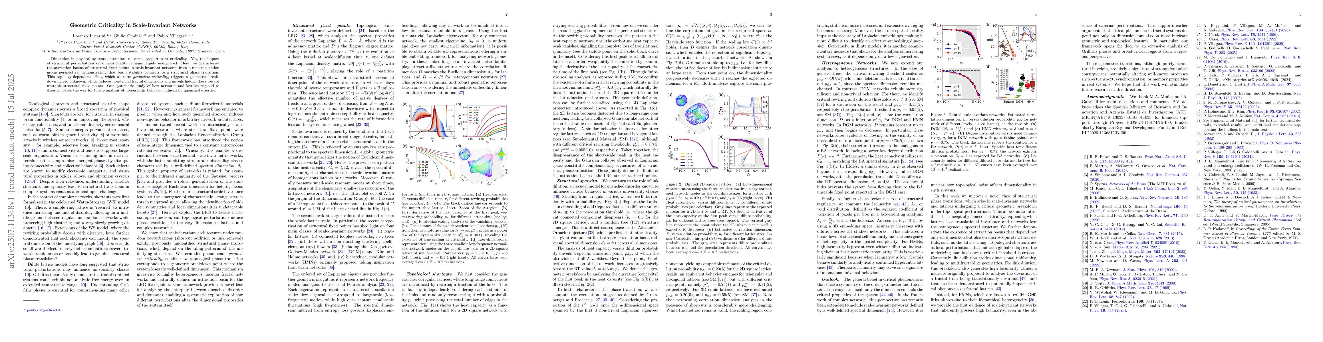 Thumbnail for Geometric Criticality in Scale-Invariant Networks