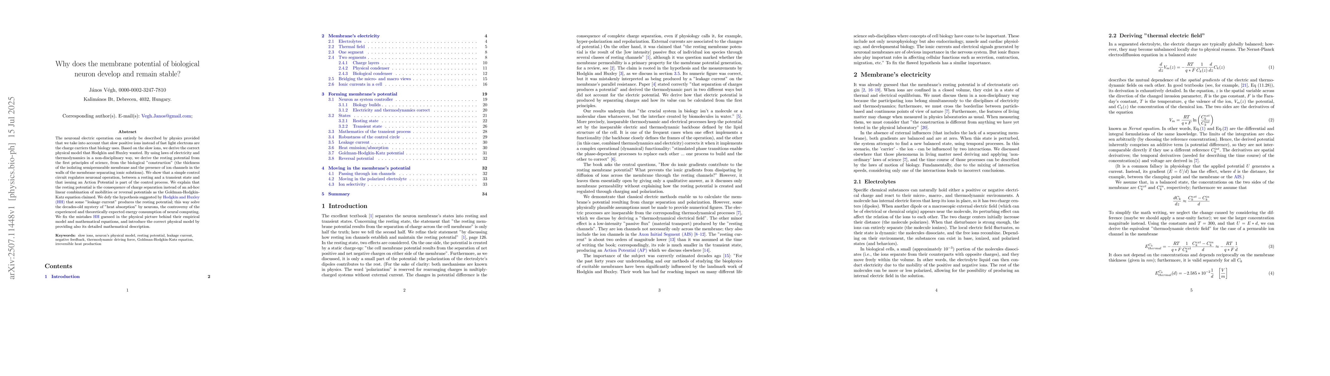 Thumbnail for Why does the membrane potential of biological neuron develop and remain
  stable?