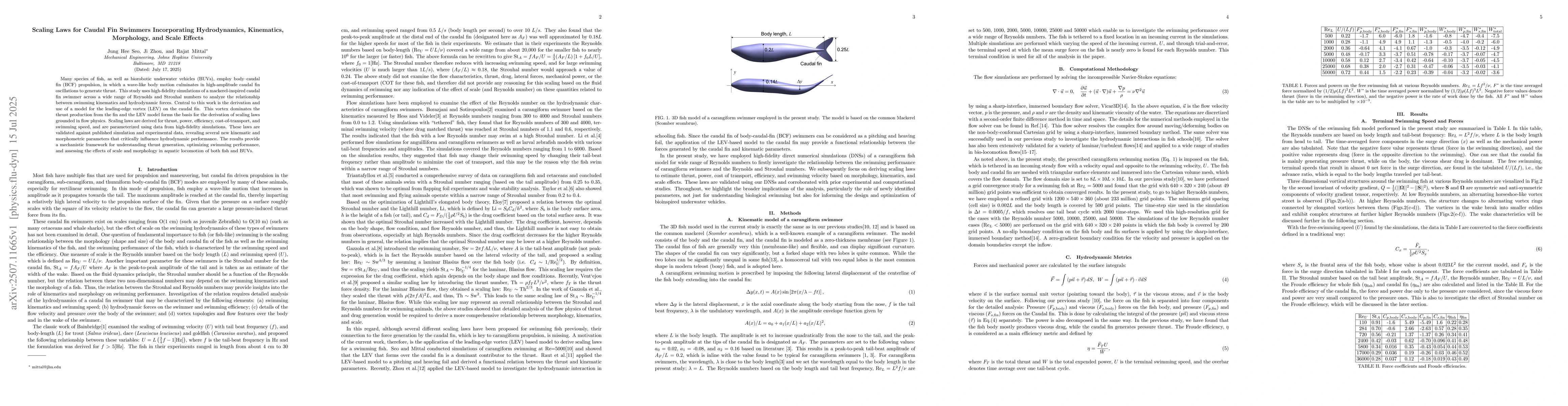 Thumbnail for Scaling Laws for Caudal Fin Swimmers Incorporating Hydrodynamics,
  Kinematics, Morphology, and Scale Effects