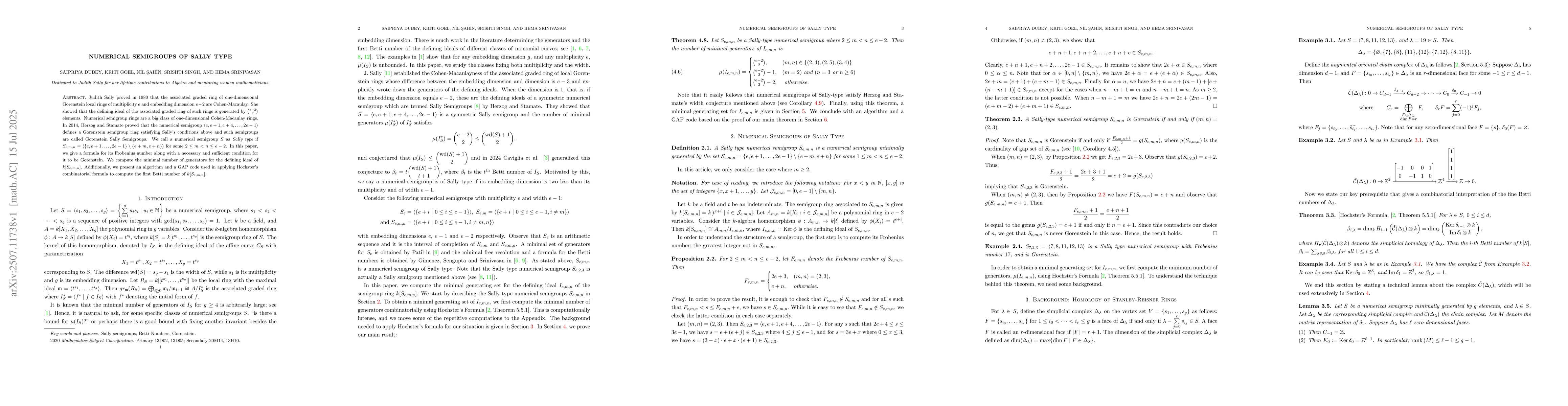 Thumbnail for Numerical Semigroups of Sally Type