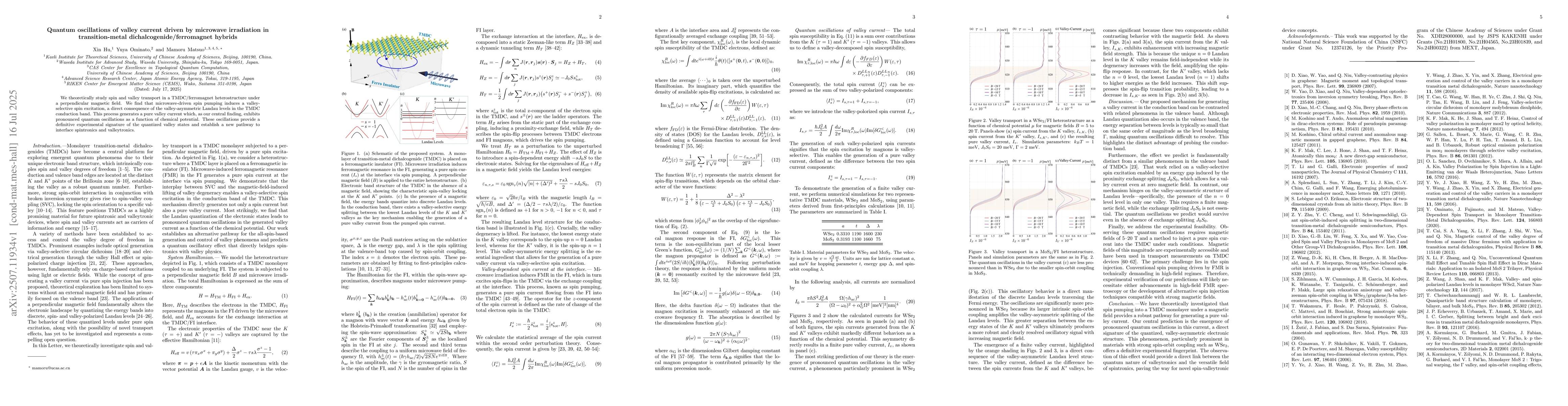 Thumbnail for Quantum oscillations of valley current driven by microwave irradiation
  in transition-metal dichalcogenide/ferromagnet hybrids