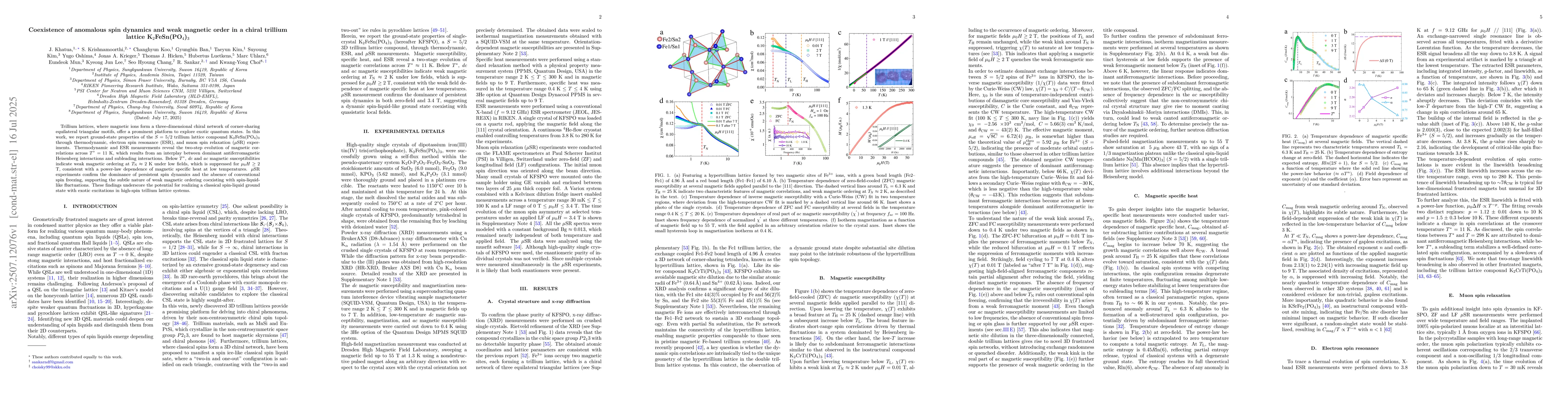 Thumbnail for Coexistence of anomalous spin dynamics and weak magnetic order in a
  chiral trillium lattice K2FeSn(PO4)3