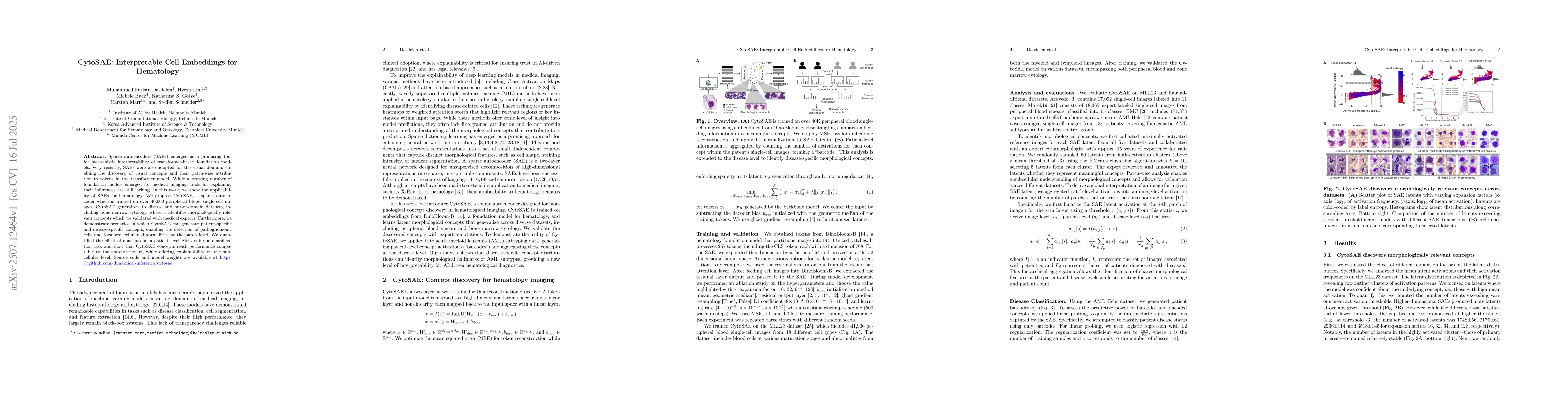 Thumbnail for CytoSAE: Interpretable Cell Embeddings for Hematology