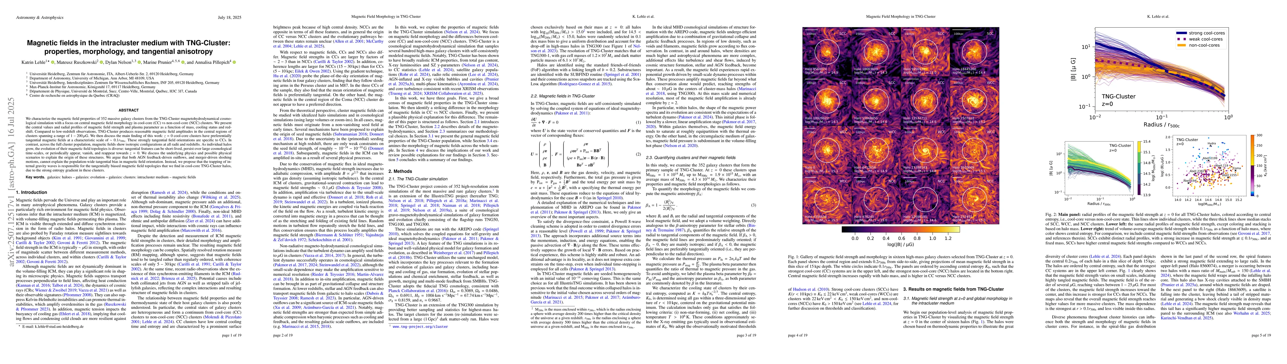 Thumbnail for Magnetic fields in the intracluster medium with TNG-Cluster: properties,
  morphology, and tangential anisotropy