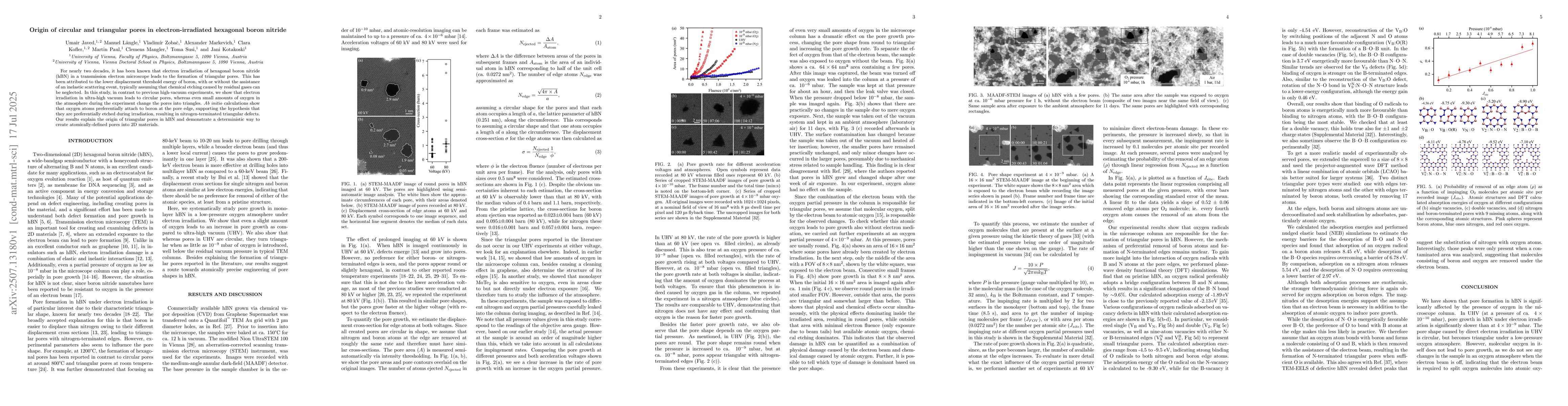 Thumbnail for Origin of circular and triangular pores in electron-irradiated hexagonal
  boron nitride
