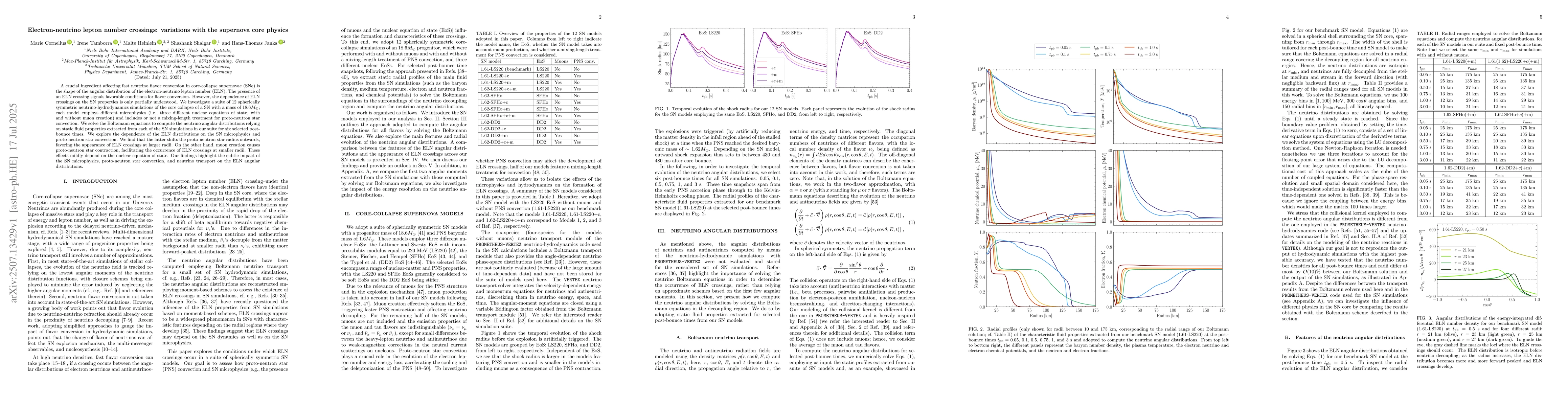 Thumbnail for Electron-neutrino lepton number crossings: variations with the supernova
  core physics
