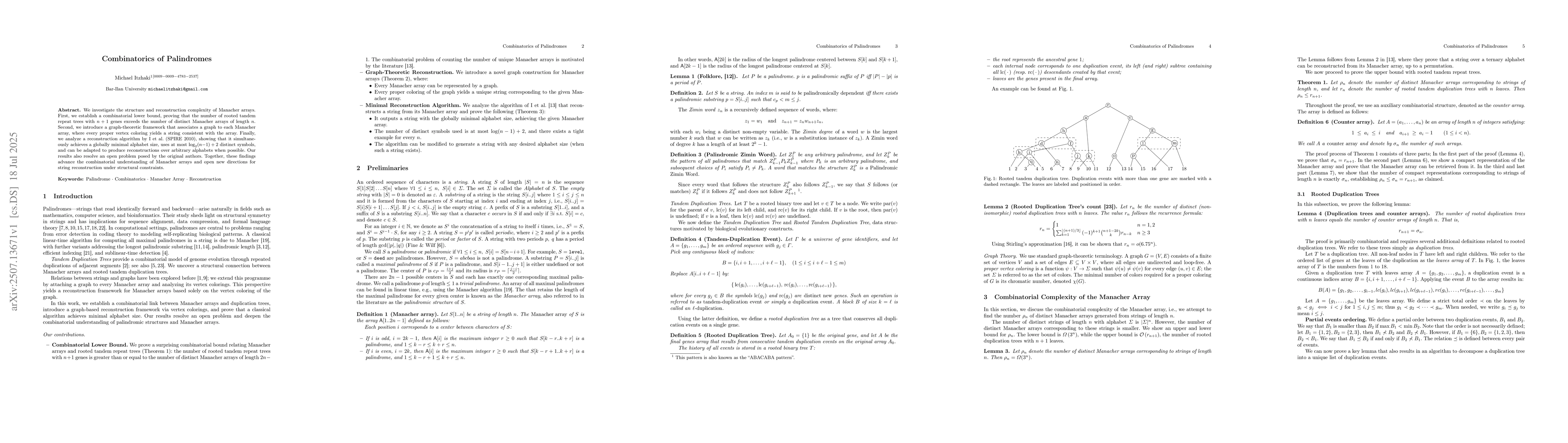Thumbnail for Combinatorics of Palindromes