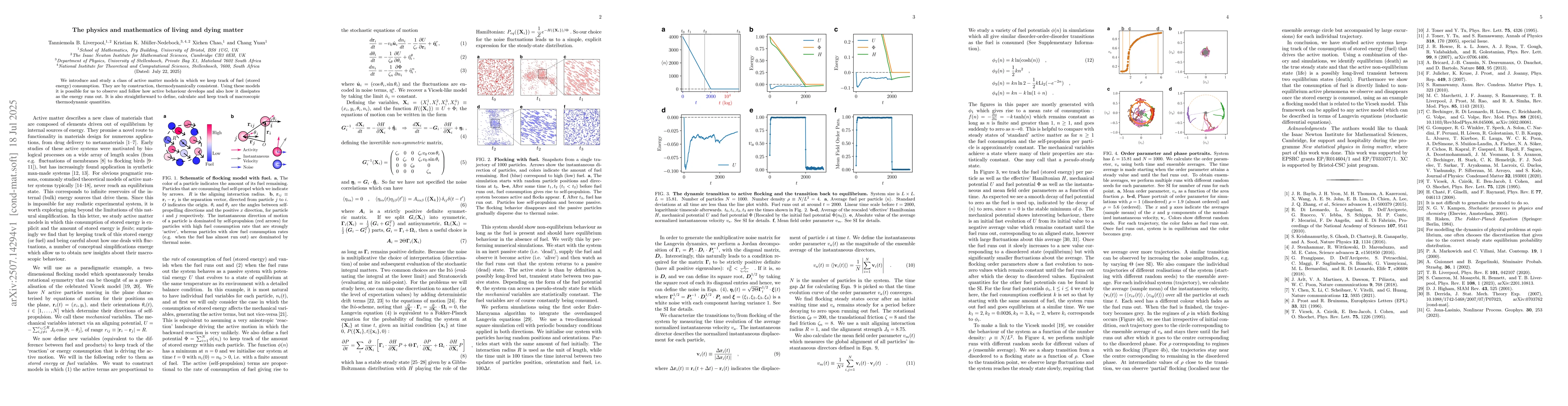 Thumbnail for The physics and mathematics of living and dying matter