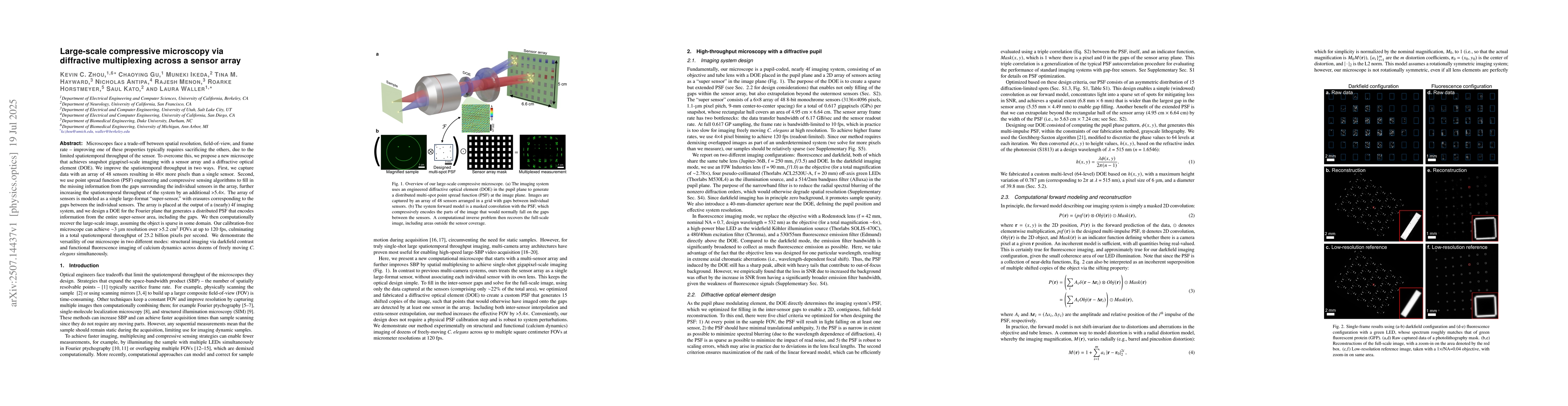 Thumbnail for Large-scale compressive microscopy via diffractive multiplexing across a
  sensor array