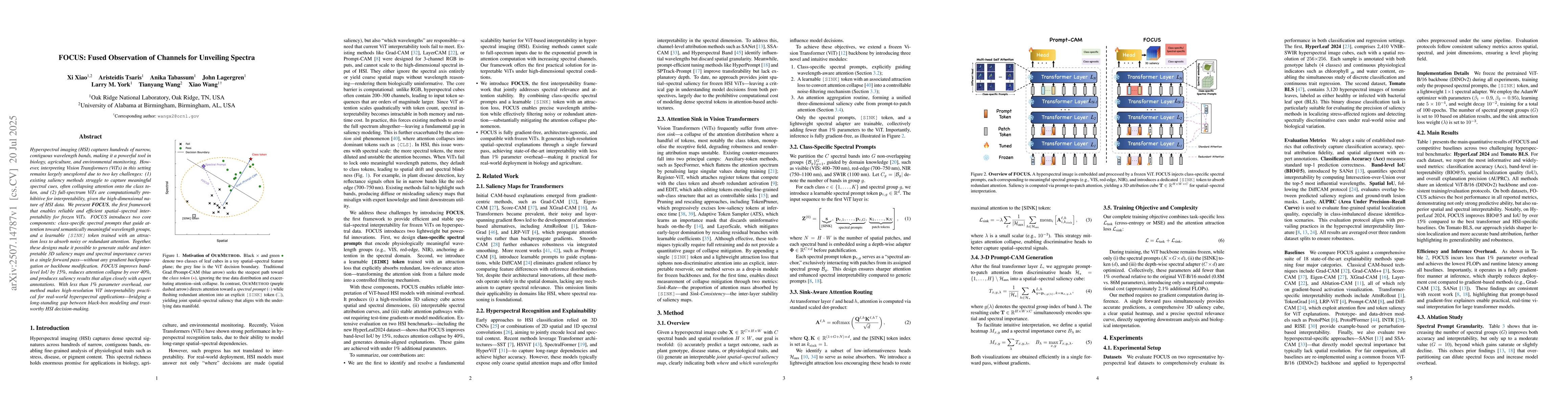 Thumbnail for FOCUS: Fused Observation of Channels for Unveiling Spectra